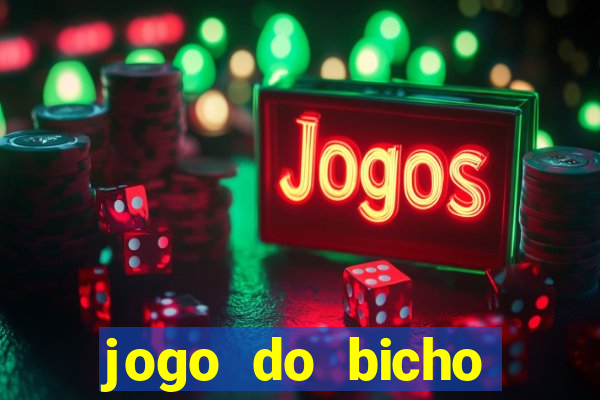 jogo do bicho crash bingo